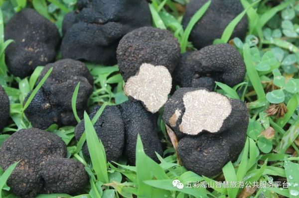 会东必吃美食你都品尝过了吗？插图4