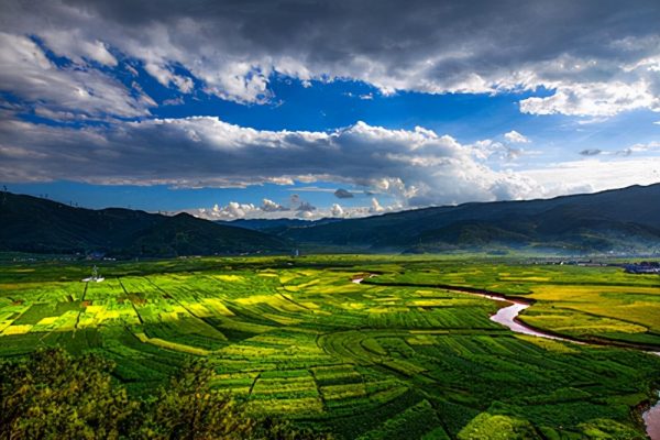 凉山会东二手房房价-会东网