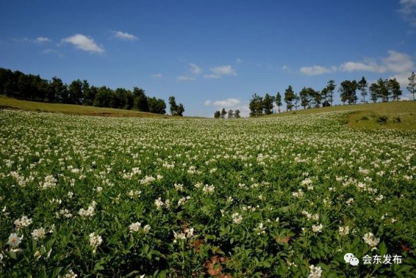 会东县第二届“双黑”美食节之美食篇插图10