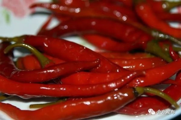 会东县第二届“双黑”美食节之美食篇插图16