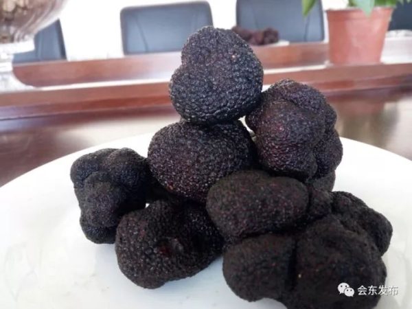 会东县第二届“双黑”美食节之美食篇插图5