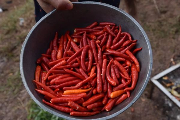 会东人“清明上河宴”最受欢迎的美食插图8 会东人“清明上河宴”最受欢迎的美食插图8