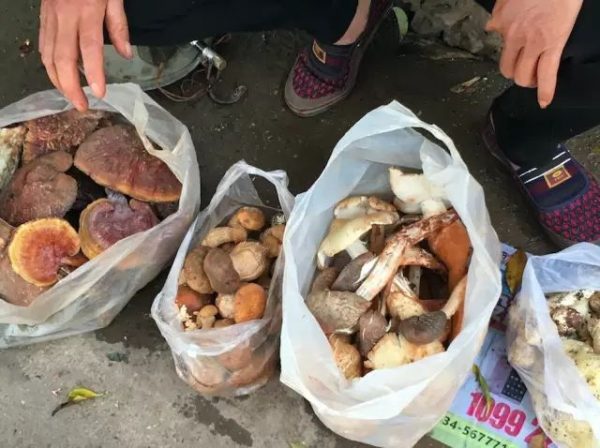 会东小城的美食刷爆了朋友圈!插图23 会东小城的美食刷爆了朋友圈!插图23