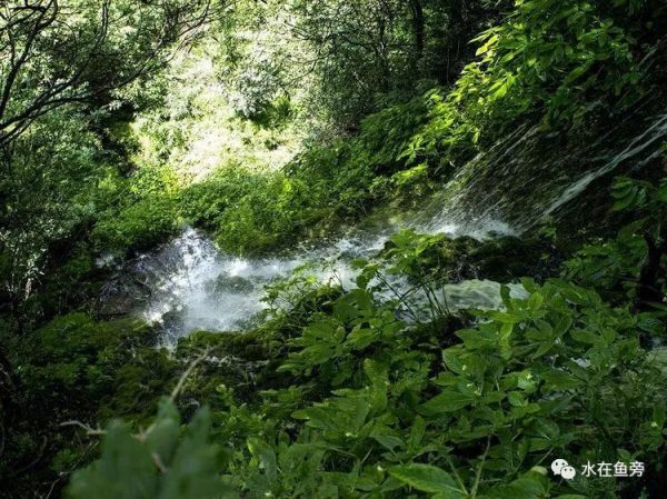 川滇明珠会东县有一个小张家界——仙人山插图1