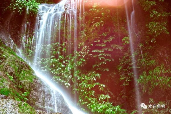 川滇明珠会东县有一个小张家界——仙人山插图2