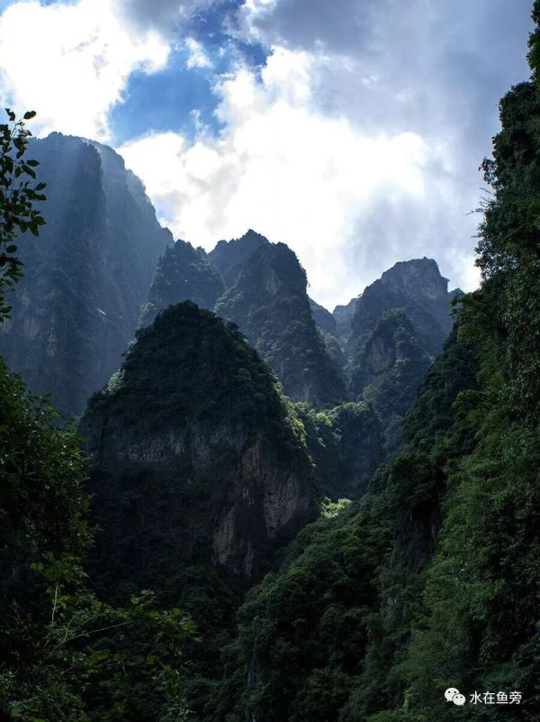 川滇明珠会东县有一个小张家界——仙人山插图7