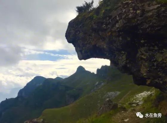 川滇明珠会东县有一个小张家界——仙人山插图9