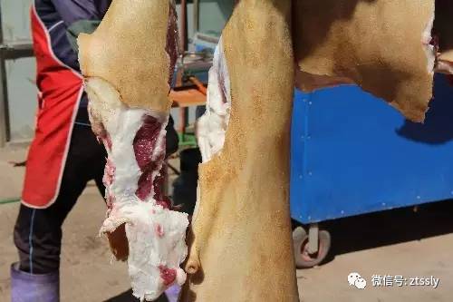 约吗?赏蜀风滇韵品黑山羊美食会东县首届黑山羊美食节即将隆重开启插图2 约吗?赏蜀风滇韵品黑山羊美食会东县首届黑山羊美食节即将隆重开启插图2