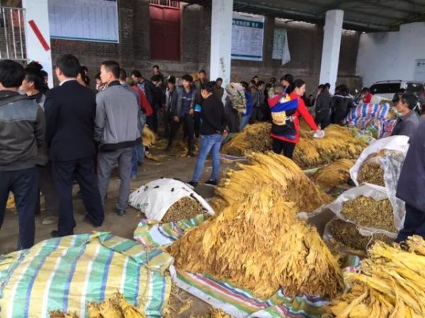 会东新闻资讯：凉山州农商银行会东支行战略定位插图18