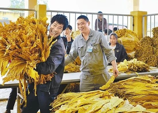 会东新闻资讯：凉山州农商银行会东支行战略定位插图20