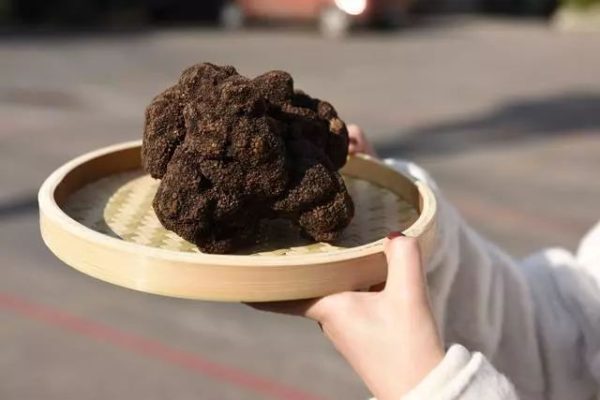 会东资讯网|会东县开展“旅居会东”康养活动!插图3 会东资讯网|会东县开展“旅居会东”康养活动!插图3