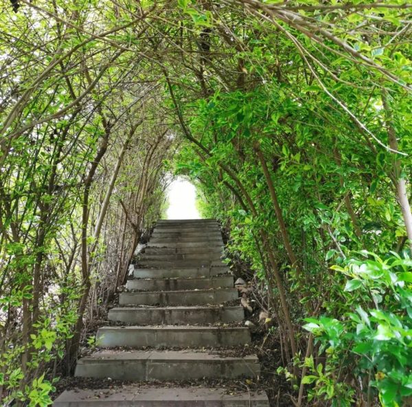 会东新开发的3A级景区花湖(川滇明珠会东旅游)插图4 会东新开发的3A级景区花湖(川滇明珠会东旅游)插图4