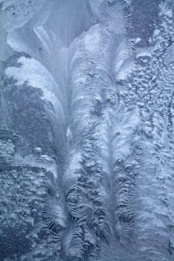 川滇明珠|会东寻幽探胜浓霜如雪插图3 川滇明珠|会东寻幽探胜浓霜如雪插图3