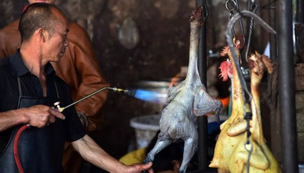 会东人“清明上河宴”最受欢迎的美食插图2 会东人“清明上河宴”最受欢迎的美食插图2