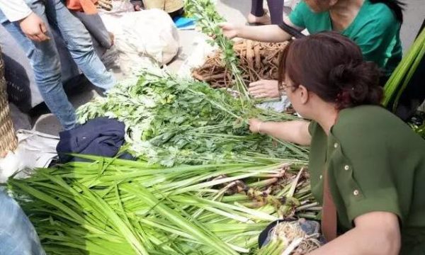 四川会东的特色-会东网