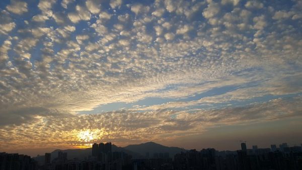 会东县天气预报(凉山会东天气怎么样?)-会东网