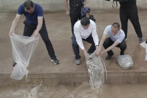 会东县职业技术学校-会东网