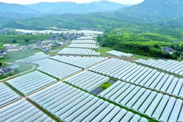 会东新闻:鱼城街道开展残疾人精准康复活动-会东网