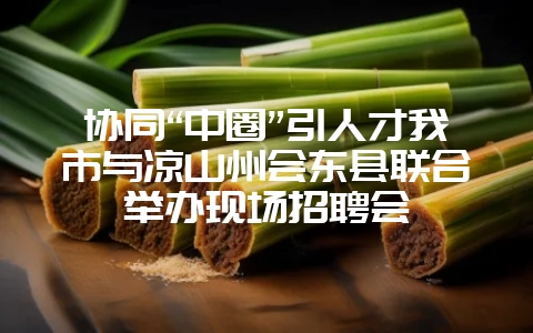 协同“中圈”引人才我市与凉山州会东县联合举办现场招聘会-会东网