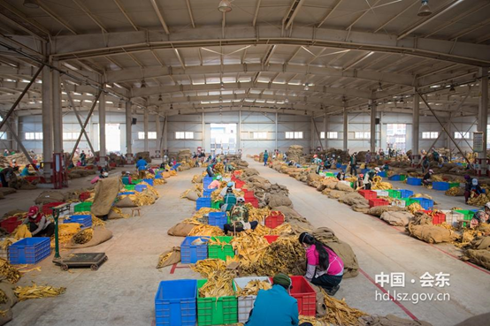 川滇明珠,会东特色农产品有哪些-会东网