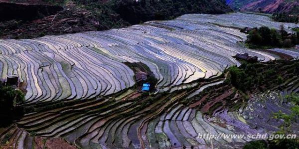 会东资讯网|会东县面积3227平方公里,森林覆盖率42.4%!-会东网