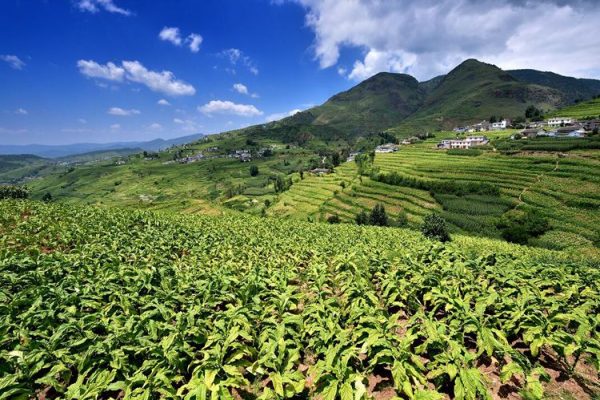 川滇明珠,得天独厚的会东插图3 川滇明珠,得天独厚的会东插图3