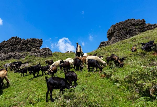 川滇明珠,得天独厚的会东插图5 川滇明珠,得天独厚的会东插图5