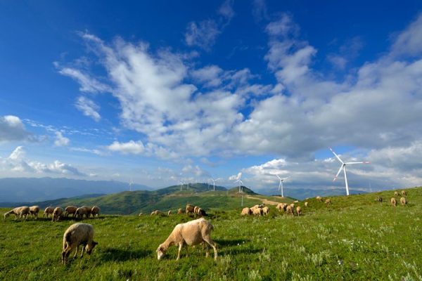 会东新闻:一季度凉山州实现GDP455.77亿元插图 会东新闻:一季度凉山州实现GDP455.77亿元插图