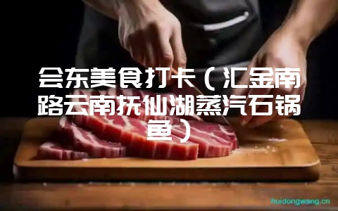 会东美食打卡(汇金南路云南抚仙湖蒸汽石锅鱼)-会东网