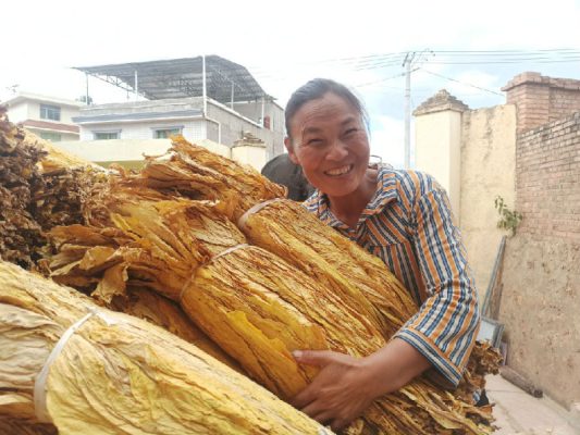 会东县人民防空办公室电话-会东网