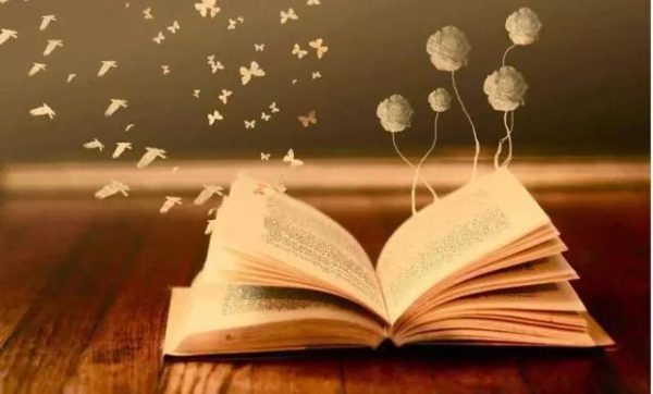 川滇明珠|会东，随风潜入夜润物细无声-会东网