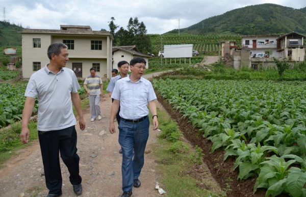 会东网新闻资讯:环江红“七.一”前夕看望慰问贫困党员-会东网