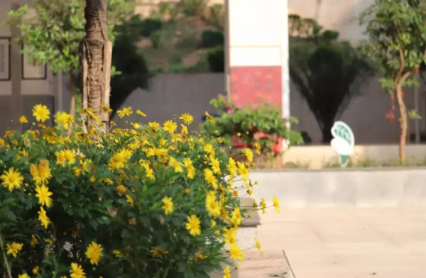 会东南山中学收费多少插图15 会东南山中学收费多少插图15