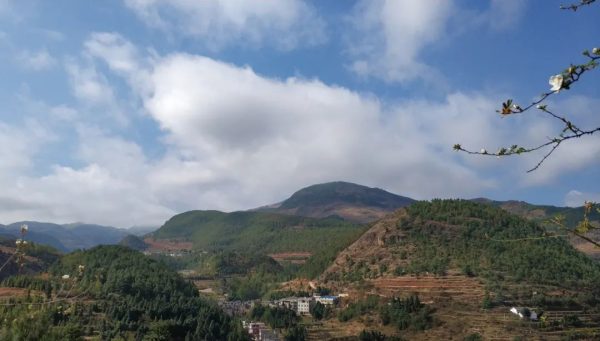 川滇明珠,会东特色农产品有哪些插图1 川滇明珠,会东特色农产品有哪些插图1