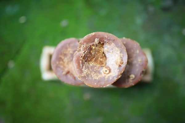 川滇明珠,会东特色农产品有哪些插图11 川滇明珠,会东特色农产品有哪些插图11