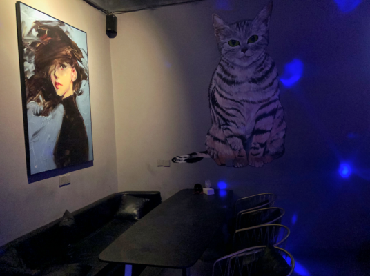 会东狐狸酒吧样子图片插图36 会东狐狸酒吧样子图片插图36