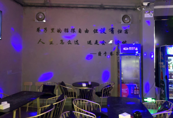 会东狐狸酒吧样子图片插图35 会东狐狸酒吧样子图片插图35