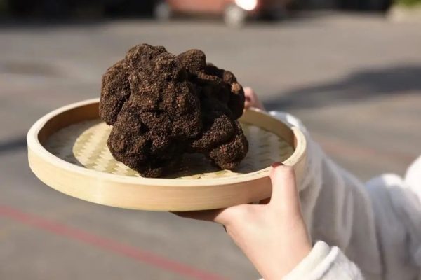 会东网新闻资讯:康养会东插图28 会东网新闻资讯:康养会东插图28