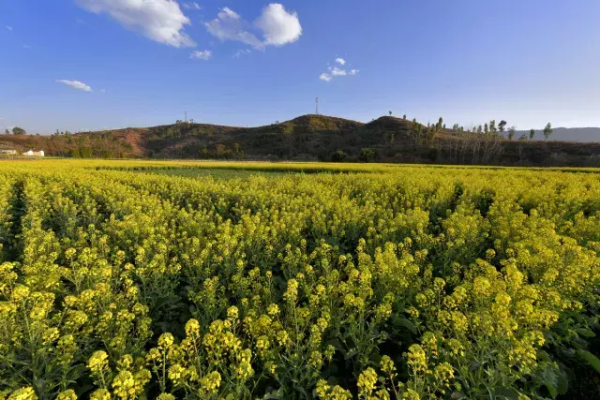 川滇明珠|会东小坝乡小沟山图片插图4 川滇明珠|会东小坝乡小沟山图片插图4
