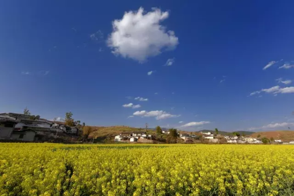 川滇明珠|会东小坝乡小沟山图片插图3 川滇明珠|会东小坝乡小沟山图片插图3