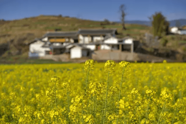 川滇明珠|会东小坝乡小沟山图片插图2 川滇明珠|会东小坝乡小沟山图片插图2