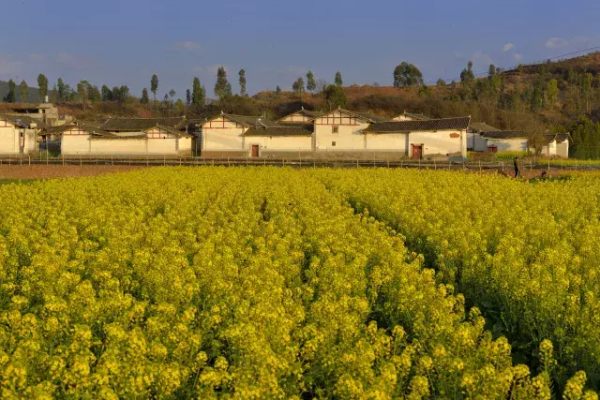 川滇明珠|会东小坝乡小沟山图片插图 川滇明珠|会东小坝乡小沟山图片插图