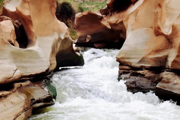 会东网新闻资讯:康养会东插图16 会东网新闻资讯:康养会东插图16