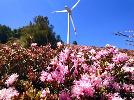 环江红到松坪镇调研会东县金锁桥矿业有限公司插图2