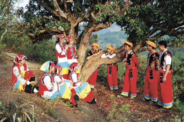 川滇明珠|云南山歌会东调子伴奏插图11 川滇明珠|云南山歌会东调子伴奏插图11