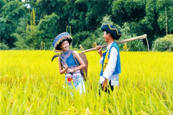 川滇明珠|云南山歌会东调子伴奏插图5 川滇明珠|云南山歌会东调子伴奏插图5
