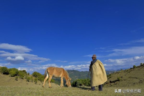 会东县地图,阳光康养和生态康养插图 会东县地图,阳光康养和生态康养插图