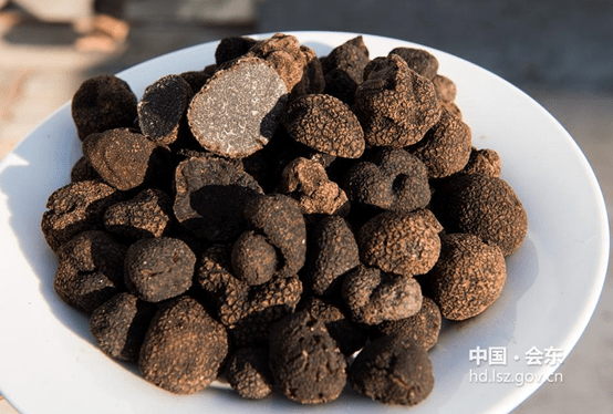 川滇明珠,会东特色农产品有哪些插图2 川滇明珠,会东特色农产品有哪些插图2