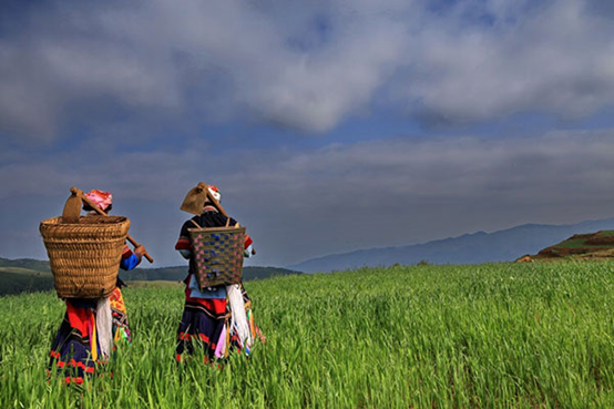 川滇明珠,会东特色农产品有哪些插图8 川滇明珠,会东特色农产品有哪些插图8