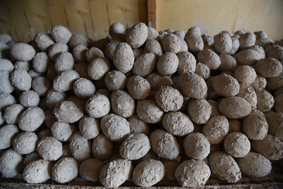 川滇明珠,会东特色农产品有哪些插图10 川滇明珠,会东特色农产品有哪些插图10